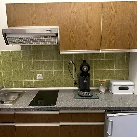 Appartement Mit Bademantelgang Zur Wohlfuehltherme Bad Griesbach  Eksteriør billede